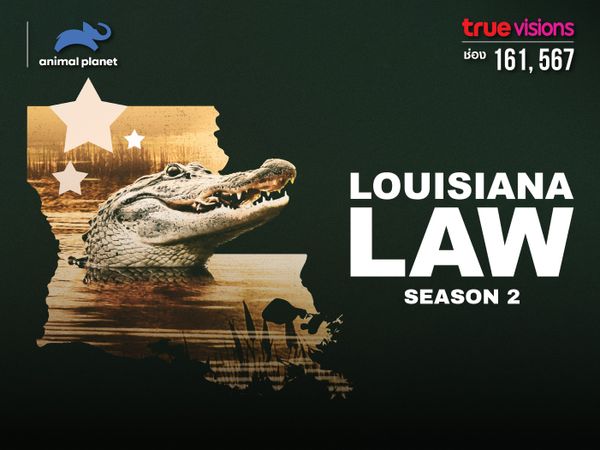 Louisiana Law S2