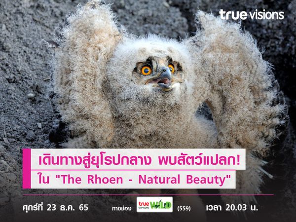 เดินทางสู่ยุโรปกลาง พบสัตว์แปลกหาชมยาก! ใน "The Rhoen - Natural Beauty"