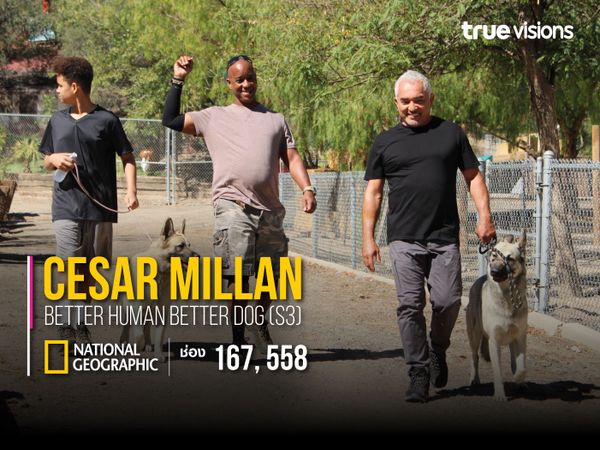 Cesar Millan: Better Human Better Dog S3