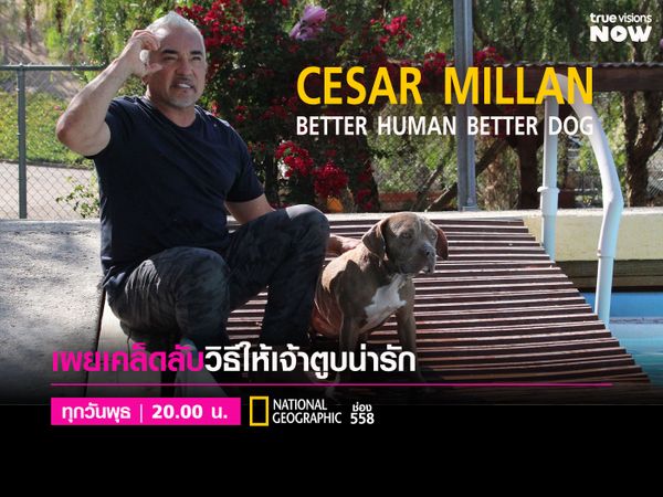 Cesar Millan: Better Human Better Dog [3]