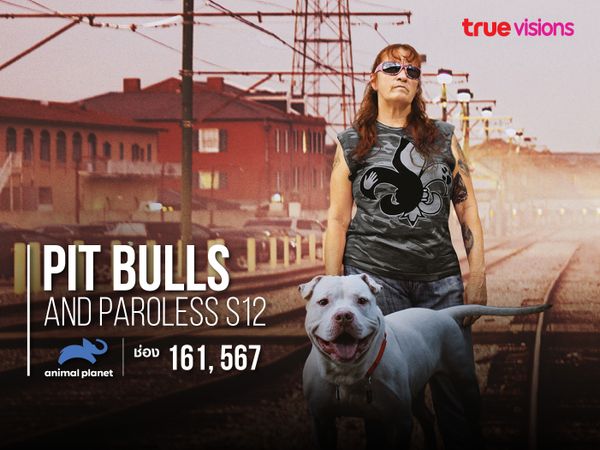 Pit Bulls and Paroless S12
