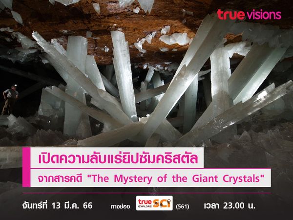 เปิดความลับแร่ยิปซัมคริสตัลที่คุณอาจจะไม่เคยรู้ จากสารคดี "The Mystery of the Giant Crystals" 