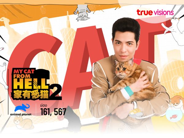 My Cat from Hell China S2