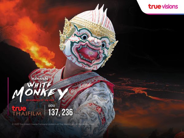 หนุมาน Hanuman White Monkey