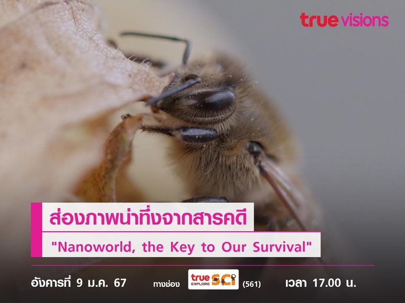 ส่องภาพน่าทึ่งจากสารคดี "Nanoworld, the Key to Our Survival"