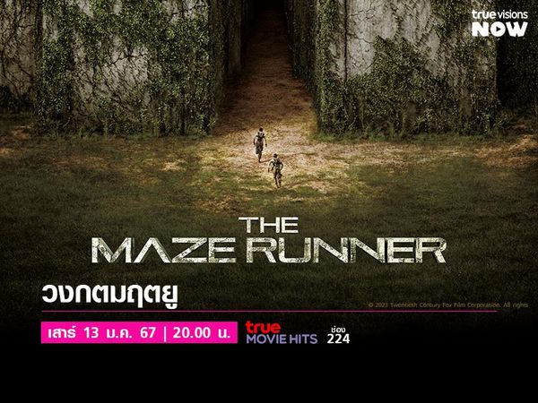 The Maze Runner - วงกตมฤตยู