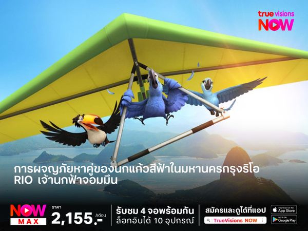 การผจญภัยหาคู่ของนกแก้วสีฟ้าในมหานครกรุงริโอ  Rio  เจ้านกฟ้าจอมมึน