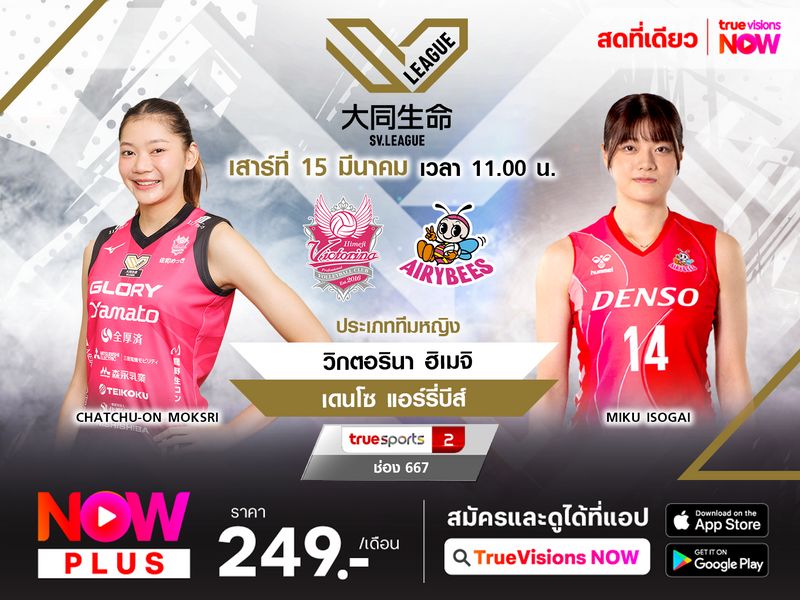 พรีวิว : วิกตอรินา ฮิเมจิ พบ พบ เดนโซ แอร์รี่บีส์  