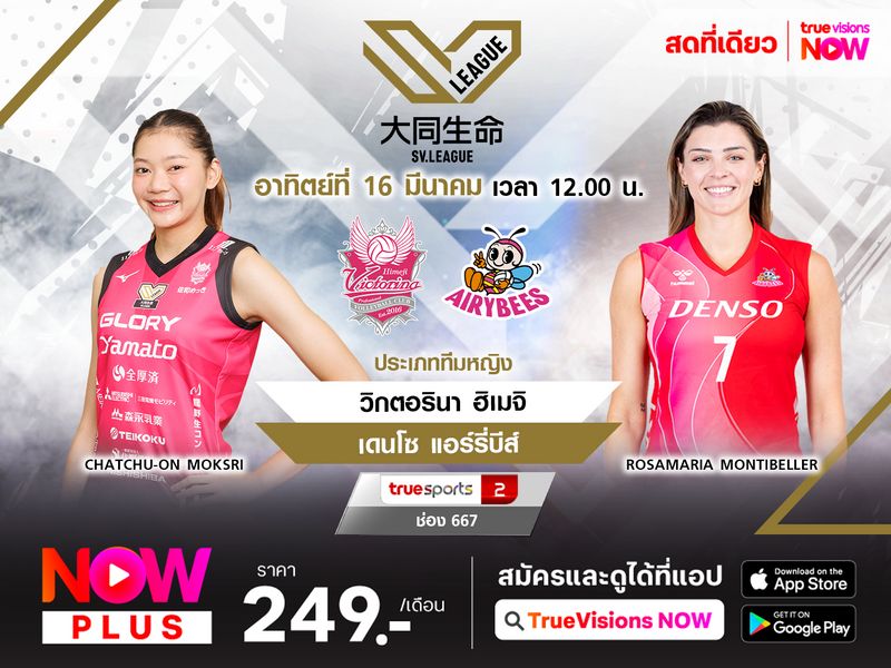 พรีวิว : วิกตอรินา ฮิเมจิ พบ พบ เดนโซ แอร์รี่บีส์