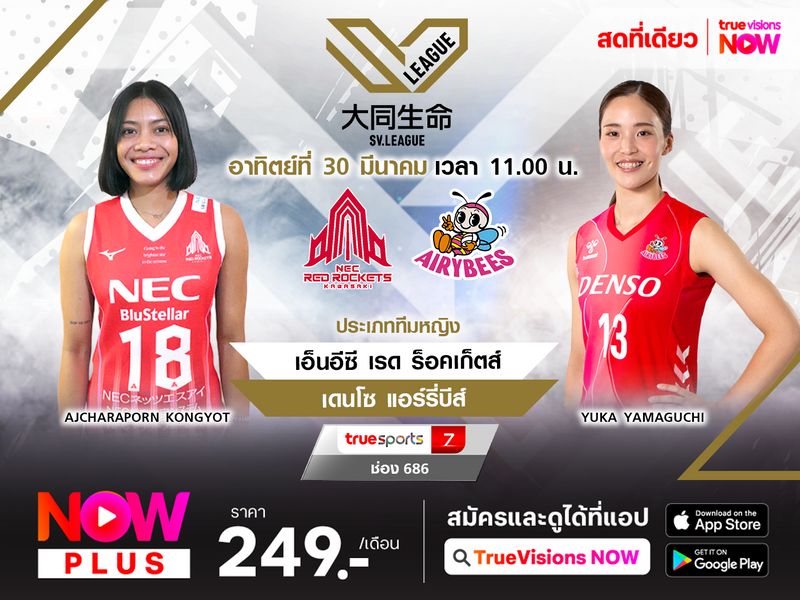 พรีวิว : เอ็นอีซี เรด ร็อคเก็ตส์ พบ เดนโซ แอร์รี่บีส์  