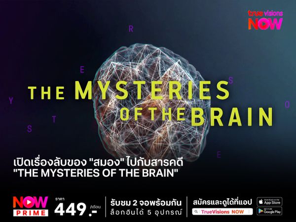 เปิดเรื่องลับของ "สมอง" ไปกับสารคดี "The Mysteries of the Brain"