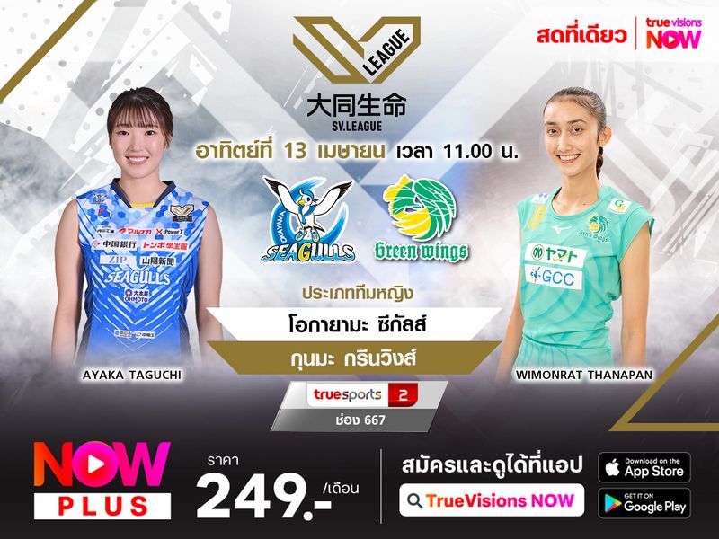 พรีวิว : โอกายามะ ซีกัลส์ พบ กุนมะ กรีนวิงส์