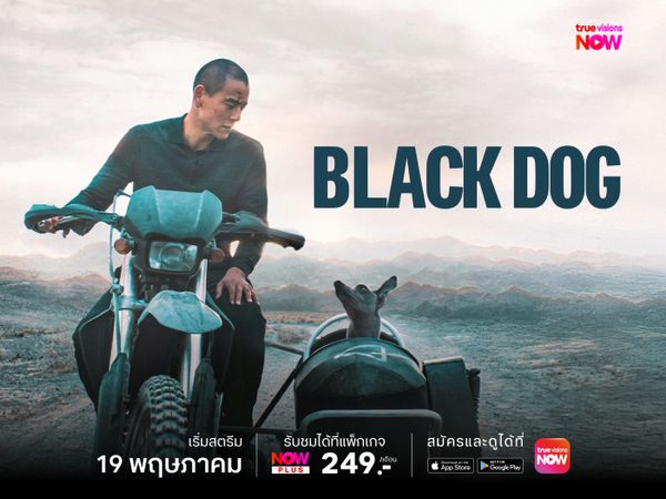 Black Dog - สี่ขาหัวใจไม่ดำ