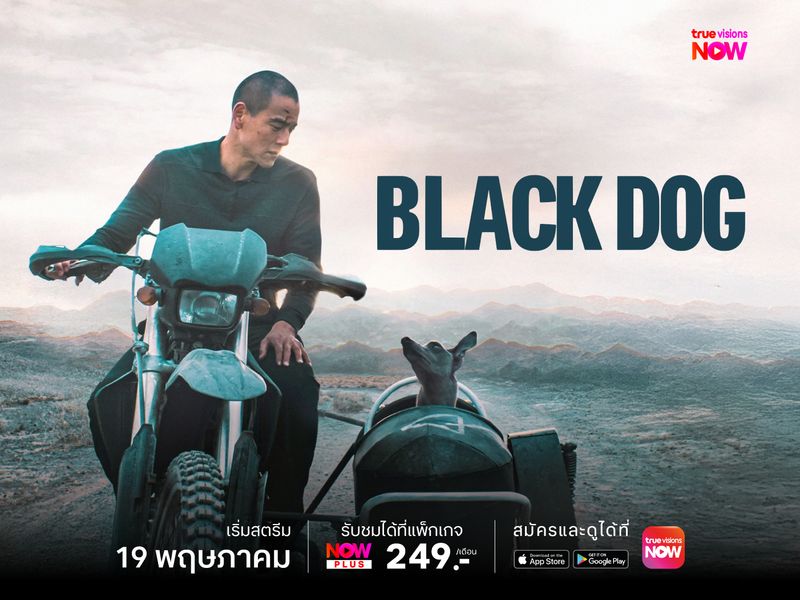 Black Dog - สี่ขาหัวใจไม่ดำ