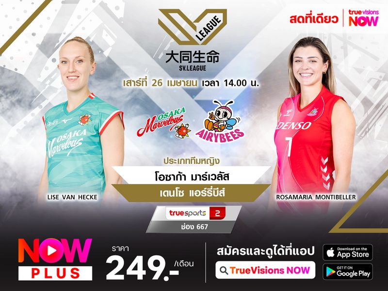 พรีวิว เอสวี ลีก 2024/2025 (รอบรองชนะเลิศ เกม 2) : โอซาก้า มาร์เวลัส (1) พบ เดนโซ แอร์รี่บีส์ (4) 