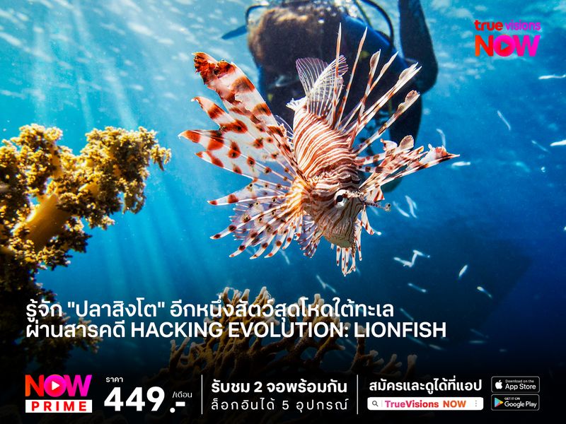 รู้จัก "ปลาสิงโต" อีกหนึ่งสัตว์สุดโหดใต้ทะเลผ่านสารคดี Hacking Evolution: Lionfish