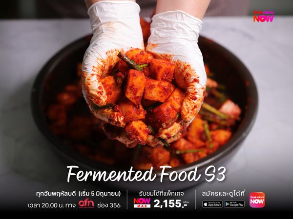 Fermented Food S3
