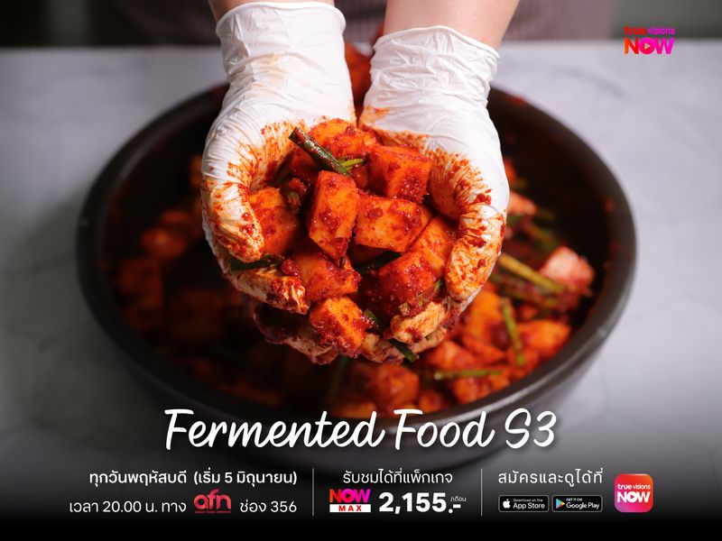 Fermented Food S3