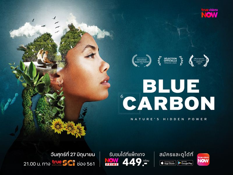 Blue Carbon