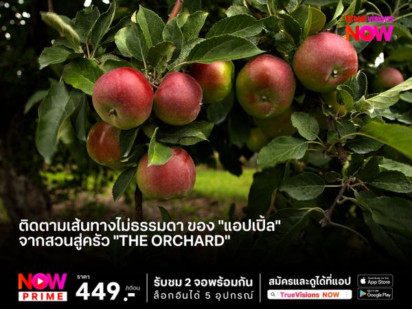 ติดตามเส้นทางไม่ธรรมดา ของ "แอปเปิ้ล" จากสวนสู่ครัว "The Orchard"