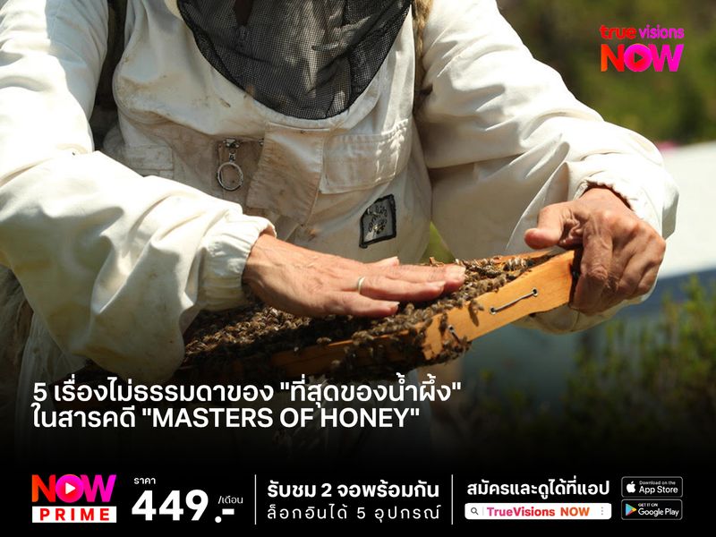 5 เรื่องไม่ธรรมดาของ "ที่สุดของน้ำผึ้ง" ในสารคดี "Masters of Honey"