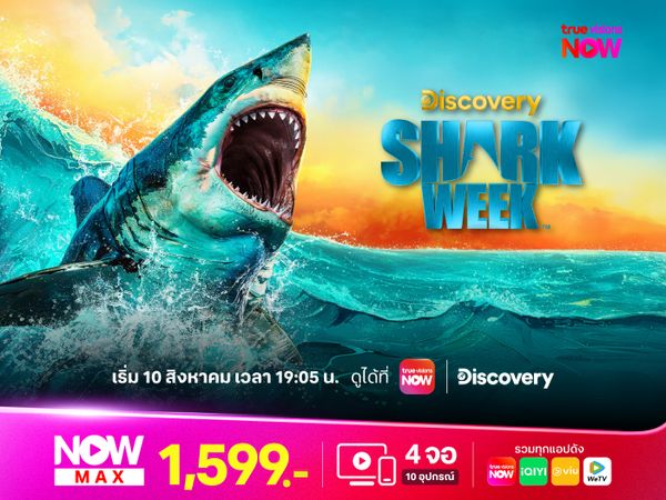 Shark Week 2025 ฉลามคืนจอ!