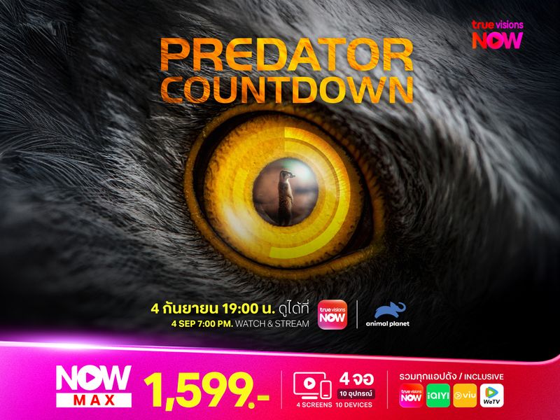 Predator Countdown