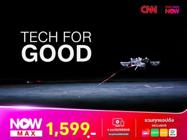 แรงบันดาลใจจากธรรมชาติสู่เทคโนโลยีแห่งอนาคต