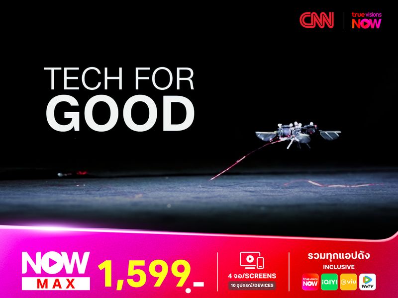 แรงบันดาลใจจากธรรมชาติสู่เทคโนโลยีแห่งอนาคต