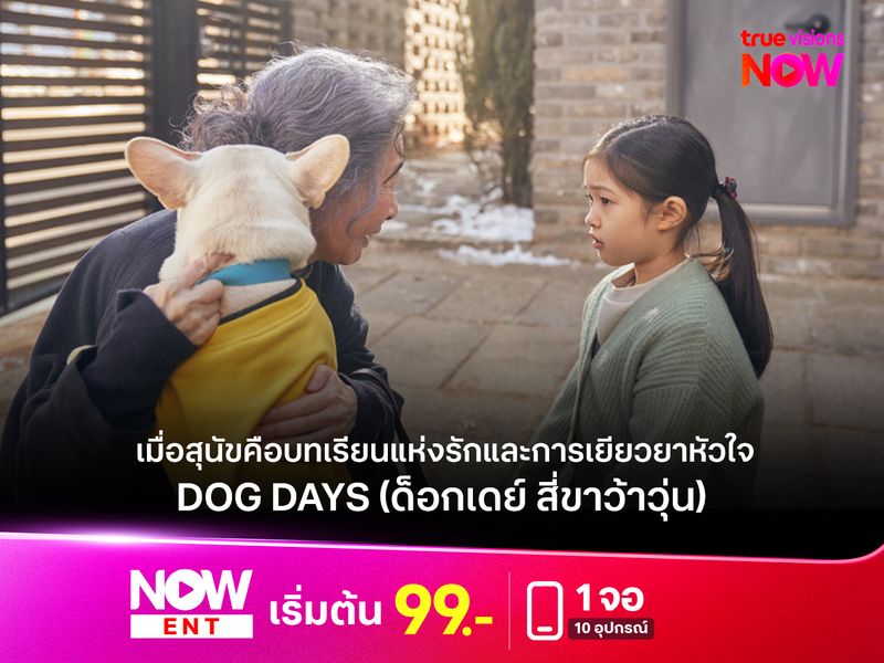 รีวิว Dog Days (ด็อกเดย์ สี่ขาว้าวุ่น) – เมื่อสุนัขคือบทเรียนแห่งรักและการเยียวยาหัวใจ