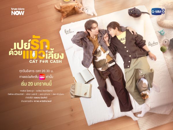 เปย์รักด้วยแมวเลี้ยง: Cat for Cash