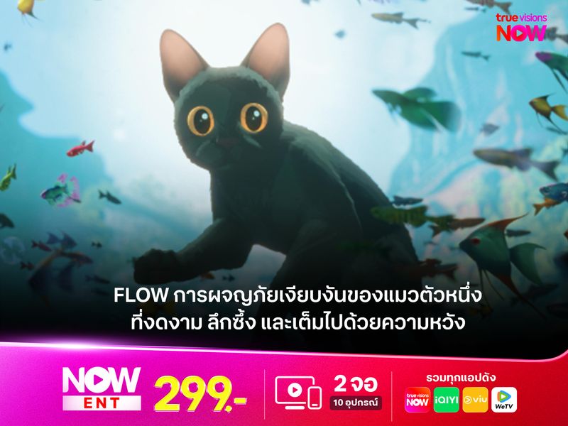  FLOW การผจญภัยเงียบงันของแมวตัวหนึ่ง ที่งดงาม ลึกซึ้ง และเต็มไปด้วยความหวัง