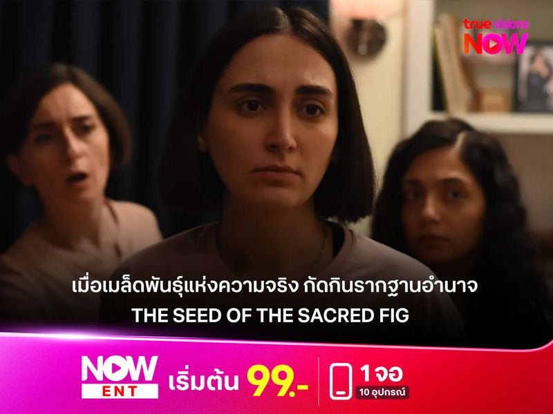รีวิว THE SEED OF THE SACRED FIG เมื่อเมล็ดพันธุ์แห่งความจริง กัดกินรากฐานอำนาจ