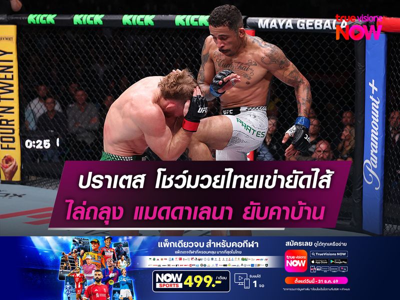 ปราเตส โชว์มวยไทยเข่ายัดไส้   ไล่ถลุง แมดดาเลนา ยับคาบ้าน
