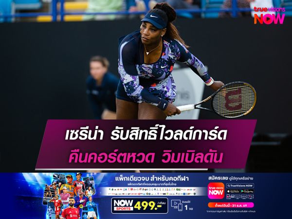 เซรีน่า รับสิทธิ์ไวลด์การ์ด คืนคอร์ตหวด วิมเบิลดัน