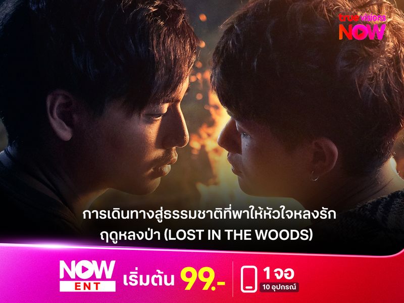  การเดินทางสู่ธรรมชาติที่พาให้หัวใจหลงรัก "ฤดูหลงป่า" (Lost in the Woods)