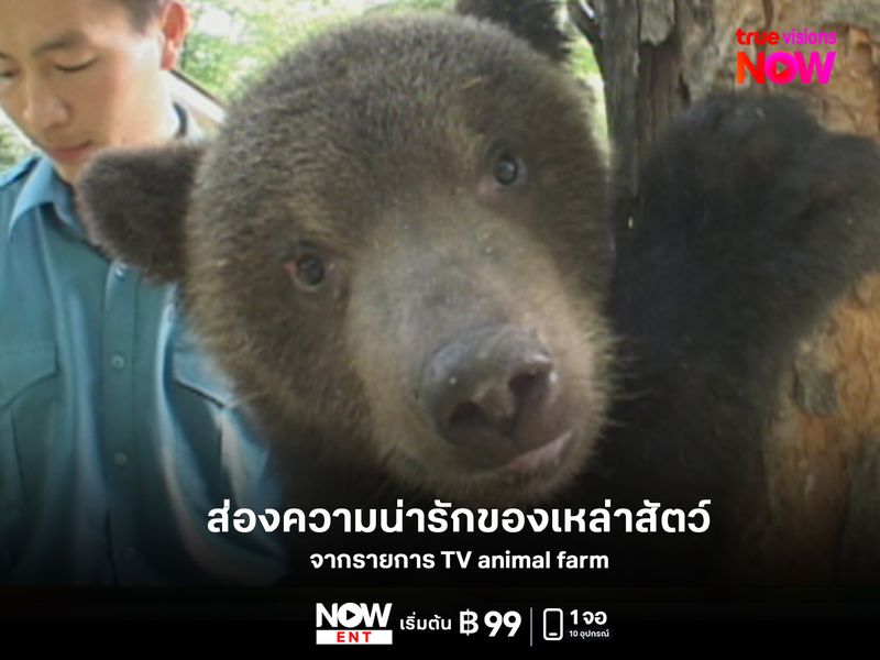 รวมโมเมนต์น่ารักจาก "TV Animal Farm"