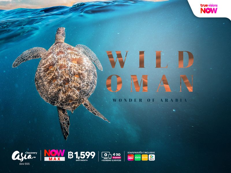 Wild Oman: Wonder of Arabia