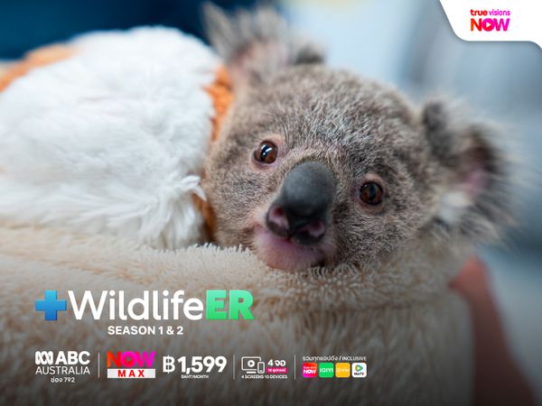Wildlife ER Season 1 & 2