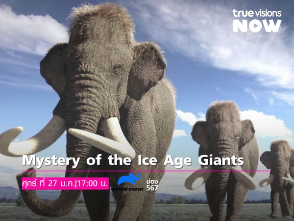 Mystery of the Ice Age Giants