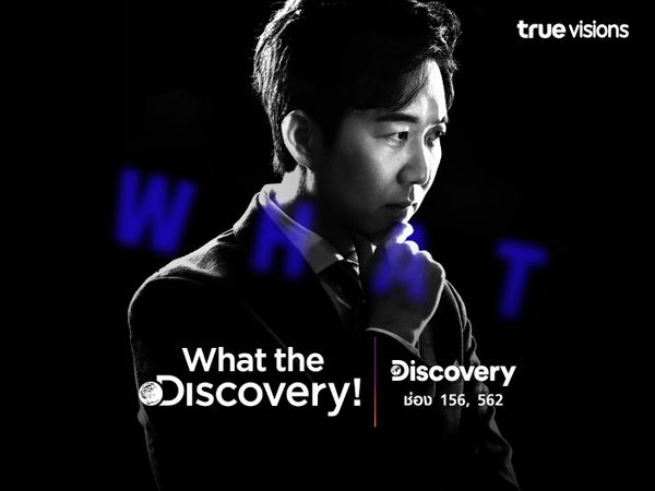 What the Discovery