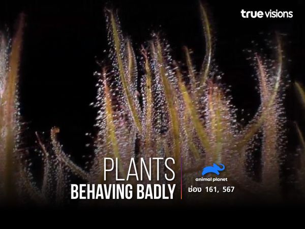 Plants Behaving Badly