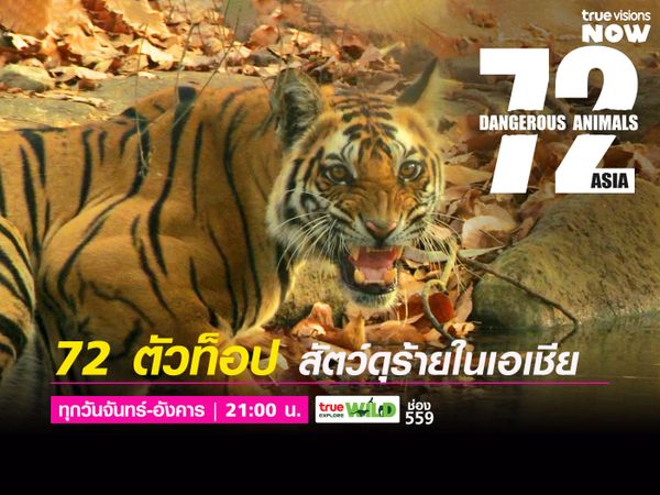 72 สัตว์สุดอันตรายเอเชีย - 72 Dangerous Animals: Asia 