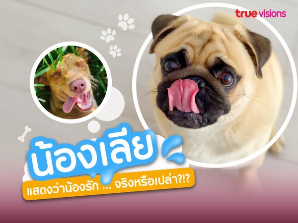 น้องเลีย แสดงว่าน้องรัก … จริงหรือเปล่า?!?