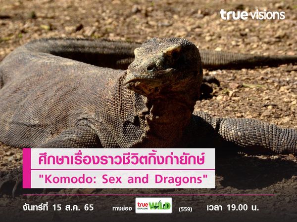 ศึกษาเรื่องราวชีวิตของ "Komodo: Sex and Dragons"