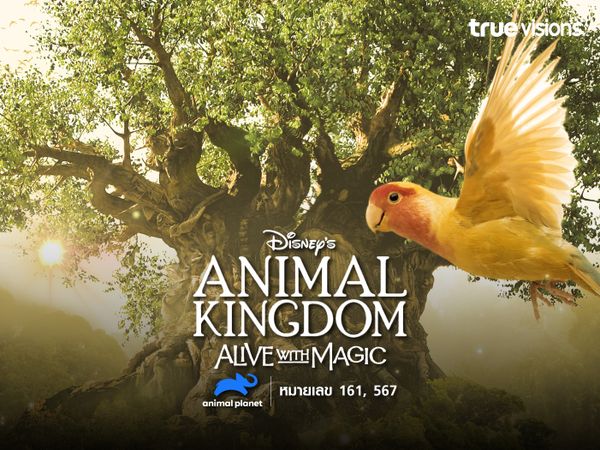 Disney’s Animal Kingdom: Alive with Magic