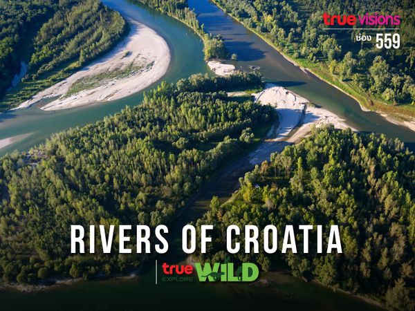 Rivers of Croatia