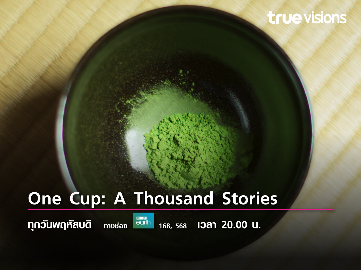 One Cup: A Thousand Stories