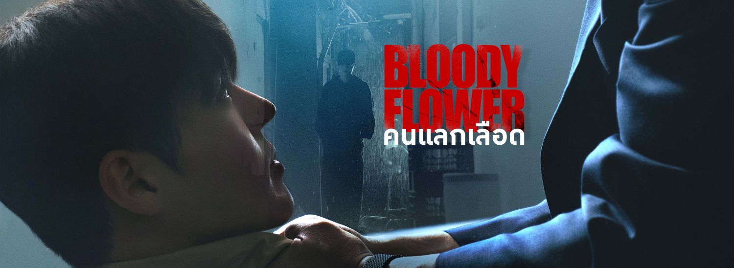 Banner desktop thumbnail